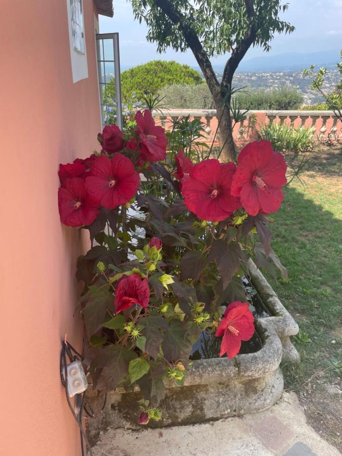 Chambre D'Hotes A L'Ancre Marine De La Villa Rose Niza Exterior foto